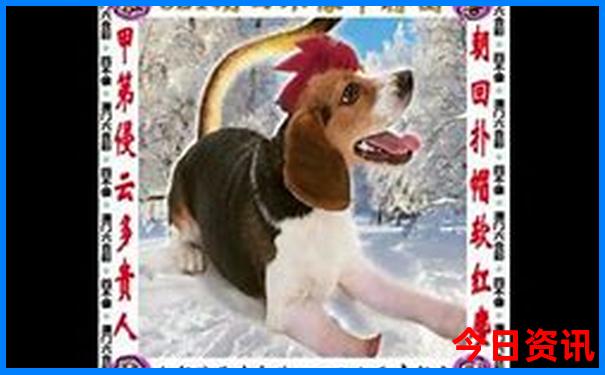 枣庄旅游景点大全排名榜