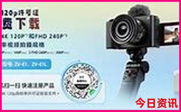 买马的生肖号码图2025年