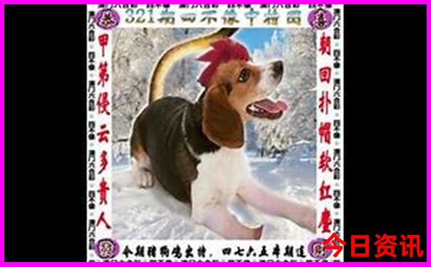 布衣天下正版