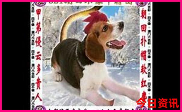 甘南旅游景点地图全图高清版
